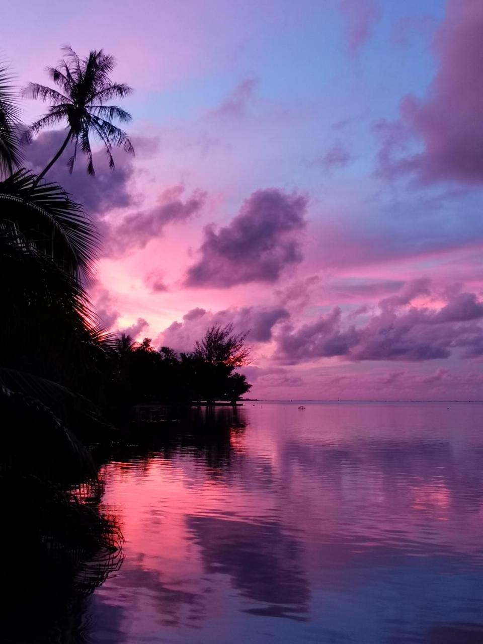 Lagoon Dream Moorea Exteriör bild