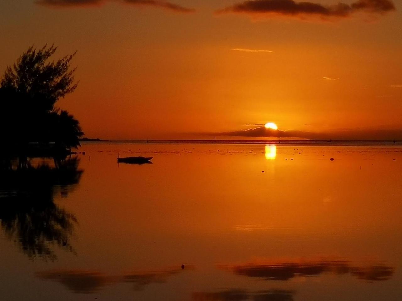 Lagoon Dream Moorea Exteriör bild